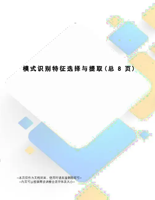 模式识别特征选择与提取