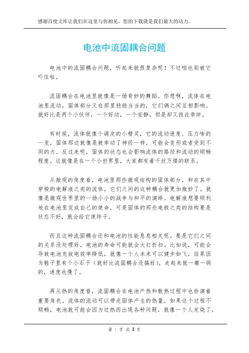 电池中流固耦合问题