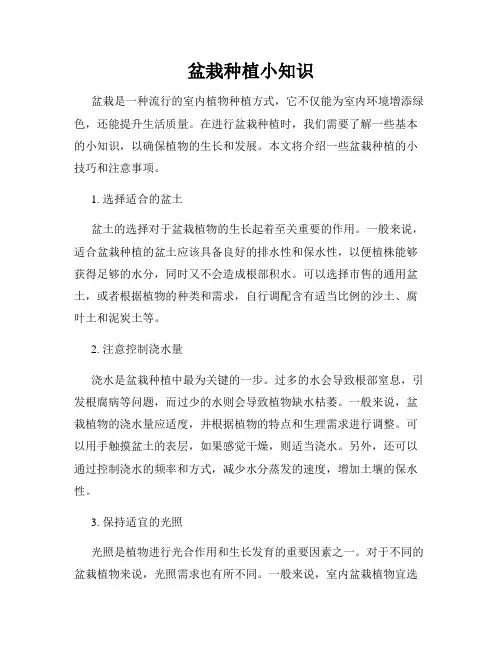 盆栽种植小知识
