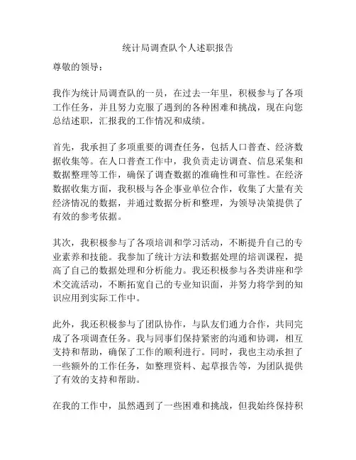 统计局调查队个人述职报告