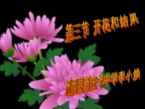 人教版生物七上3.2.3《开花和结果》课件(共35张PPT)