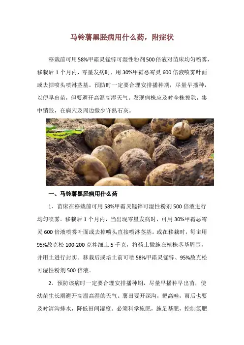 马铃薯黑胫病用什么药,附症状