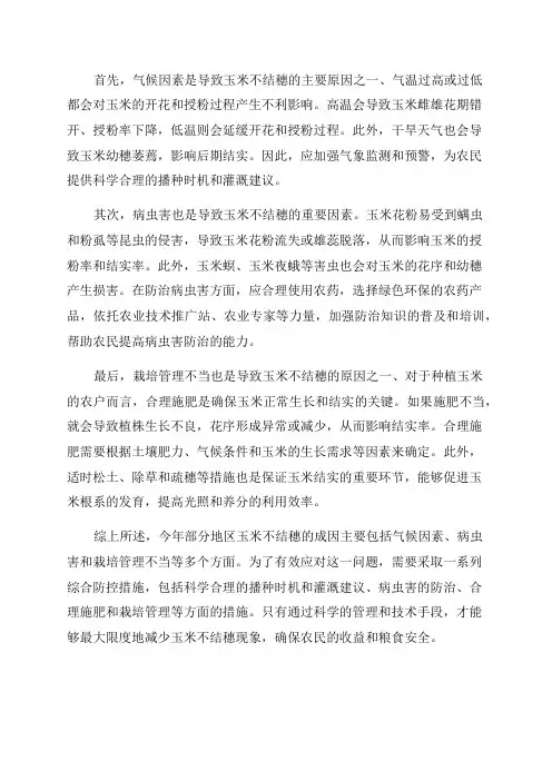 今年部分地区玉米不结穗的成因及防控措施