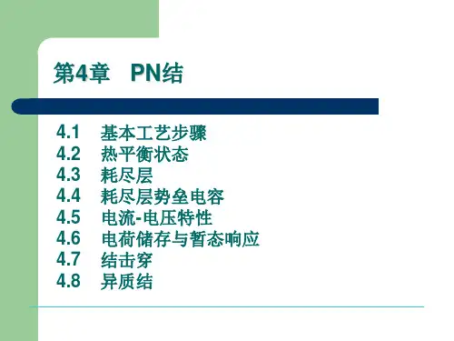 半导体器件物理与工艺_第4章