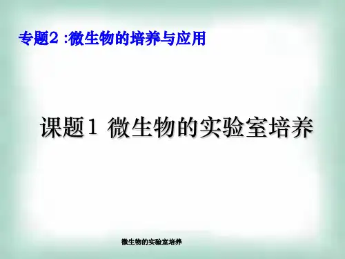 微生物的实验室培养 ppt课件
