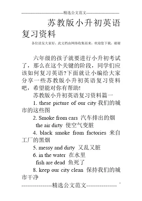 苏教版小升初英语复习资料