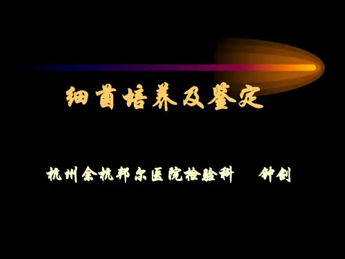 细菌分离培养及鉴定