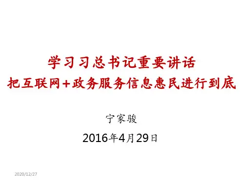 互联网+政务服务 ppt课件