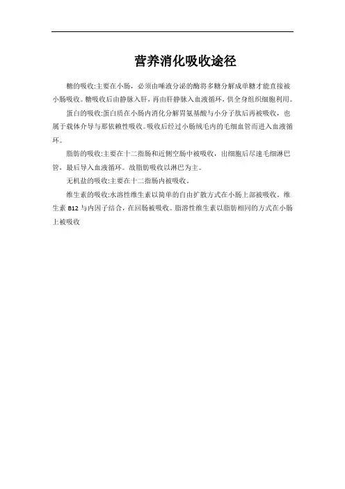 营养消化吸收途径