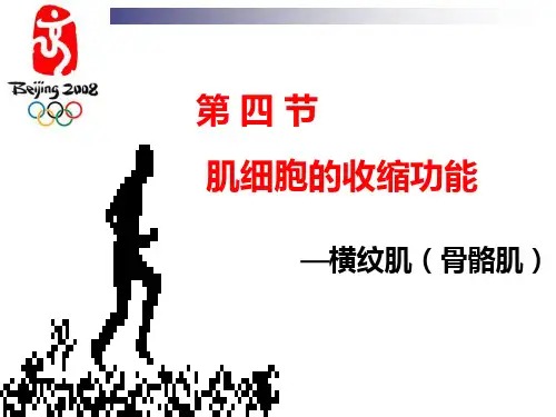 --《生理学》细胞的基本功能——4肌细胞的收缩