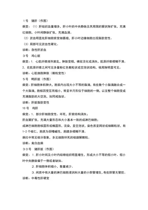 病理切片
