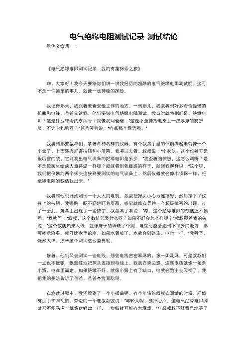 电气绝缘电阻测试记录 测试结论