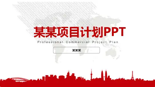 【新】传统文化项目计划书ppt