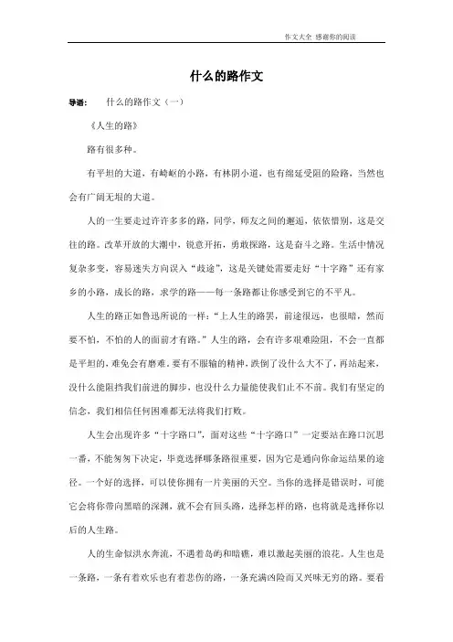 什么的路作文