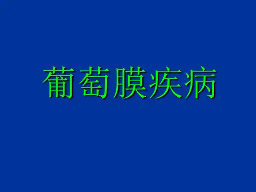 葡萄膜炎PPT课件