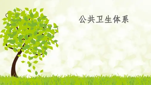 公共卫生系统PPT课件