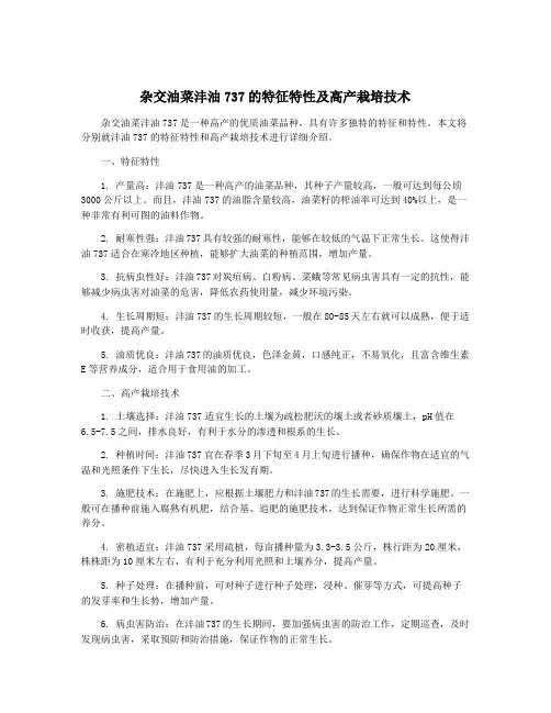 杂交油菜沣油737的特征特性及高产栽培技术