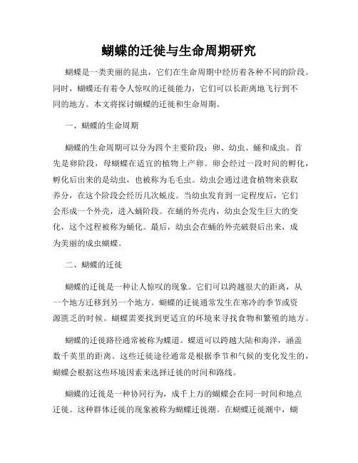 蝴蝶的迁徙与生命周期研究