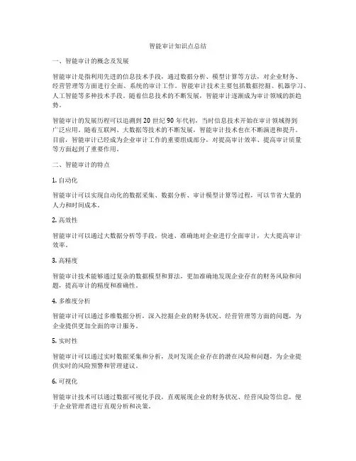 智能审计知识点总结