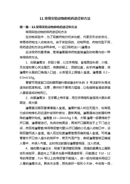11.常用实验动物的给药途径和方法
