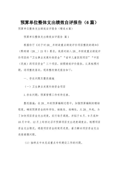预算单位整体支出绩效自评报告(6篇)