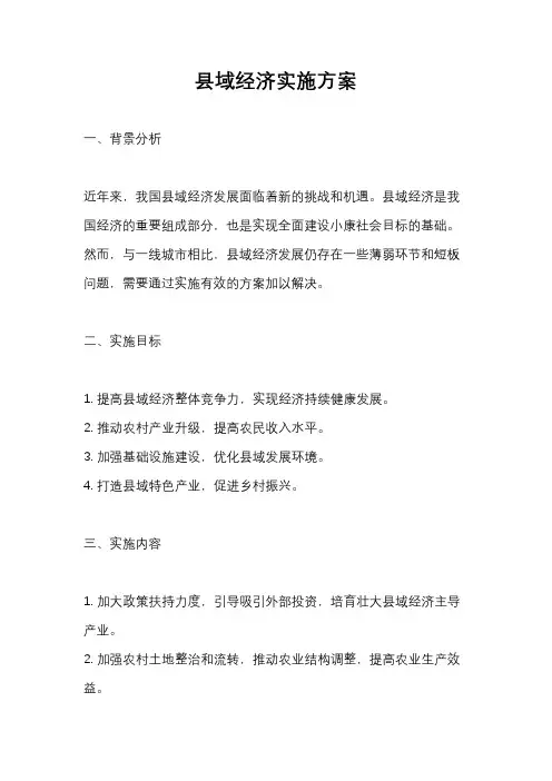 县域经济实施方案