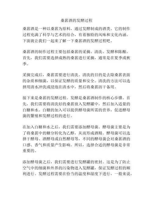桑葚酒的发酵过程