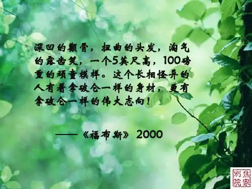 马云ppt 简介