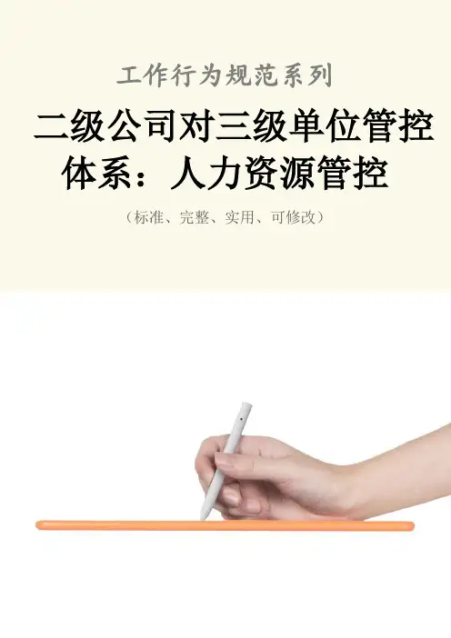 二级公司对三级单位管控体系：人力资源管控