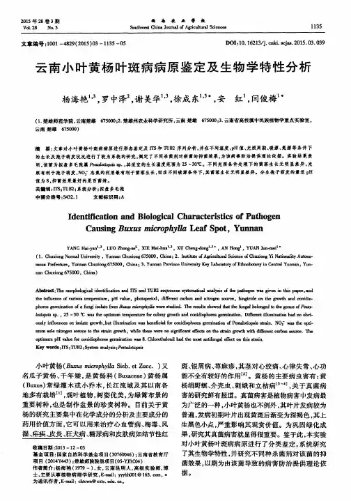 云南小叶黄杨叶斑病病原鉴定及生物学特性分析