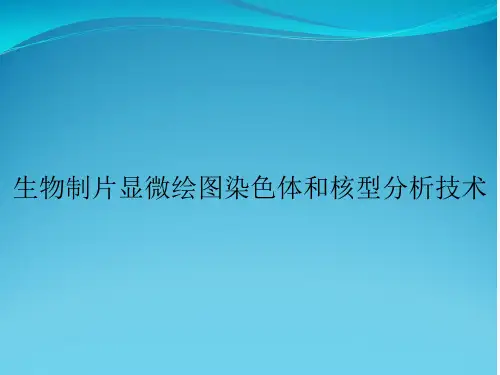 生物制片显微绘图染色体和核型分析技术