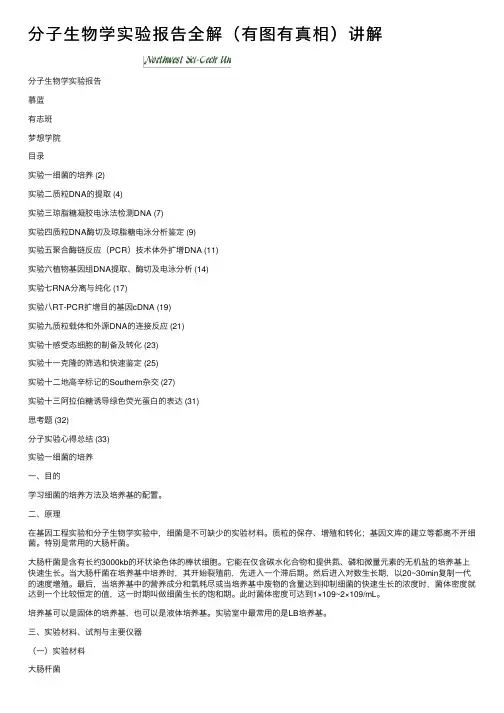 分子生物学实验报告全解（有图有真相）讲解