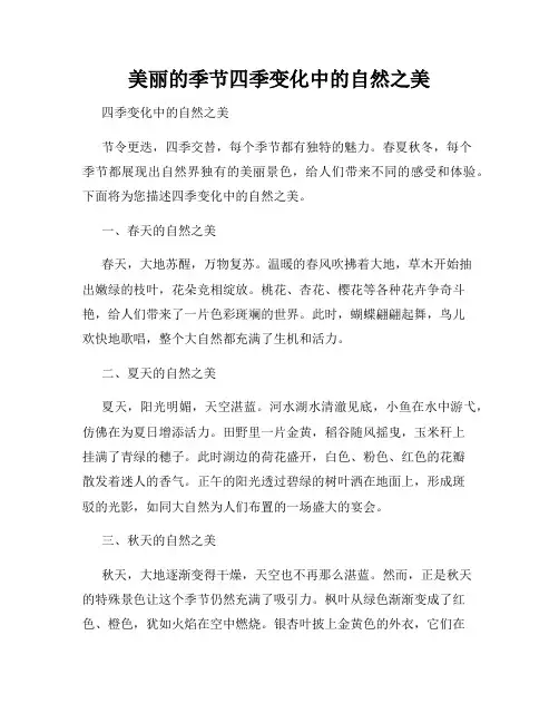 美丽的季节四季变化中的自然之美