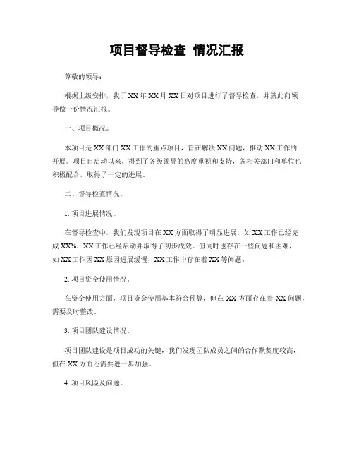 项目督导检查 情况汇报