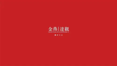 摆脱地心引力-美林湖十周年战略大转身传播方案(无损)