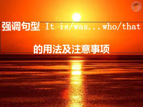 高三英语强调句型-It-is...that的用法PPT课件