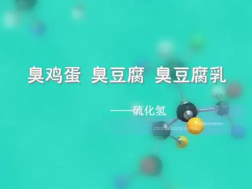 臭鸡蛋 臭豆腐 臭豆腐乳