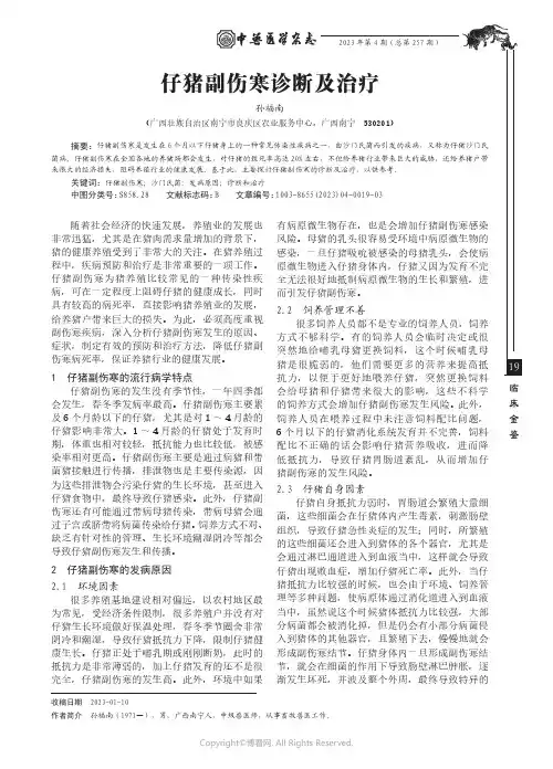 仔猪副伤寒诊断及治疗