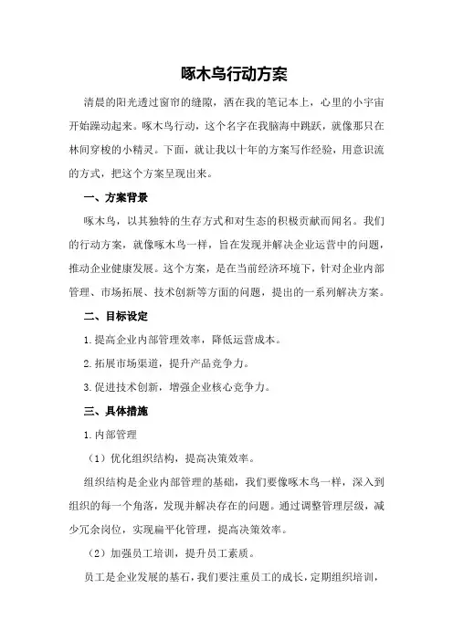 啄木鸟行动方案