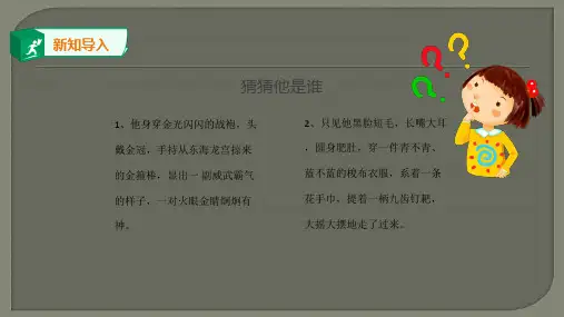 人物外貌描写ppt课件