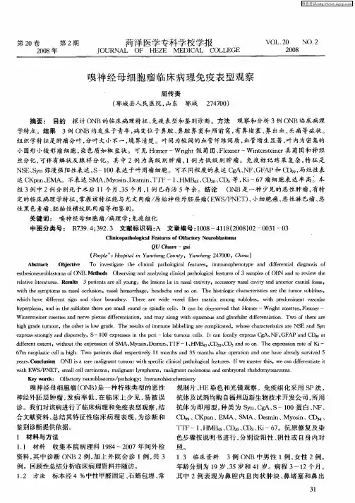 嗅神经母细胞瘤临床病理免疫表型观察