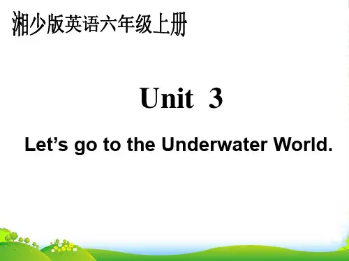 六年级英语上册 Unit 3（1）课件 湘少版