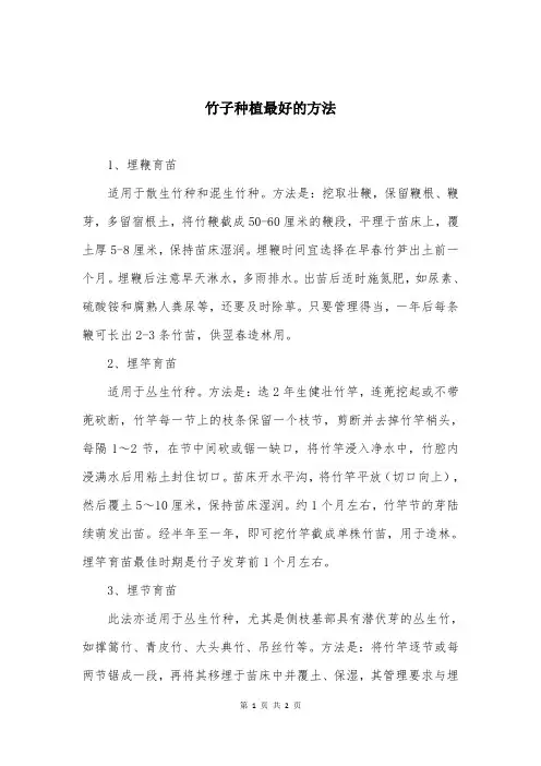 竹子种植最好的方法