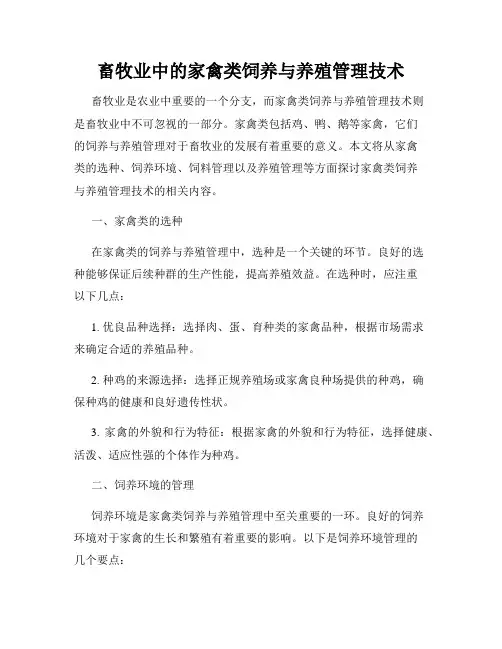 畜牧业中的家禽类饲养与养殖管理技术