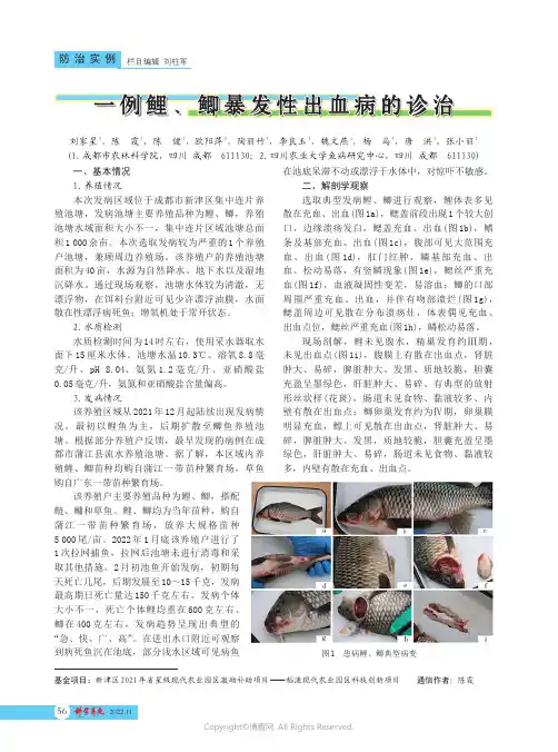 一例鲤、鲫暴发性出血病的诊治