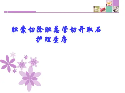 胆囊切除胆总管切开取石护理查房 PPT课件