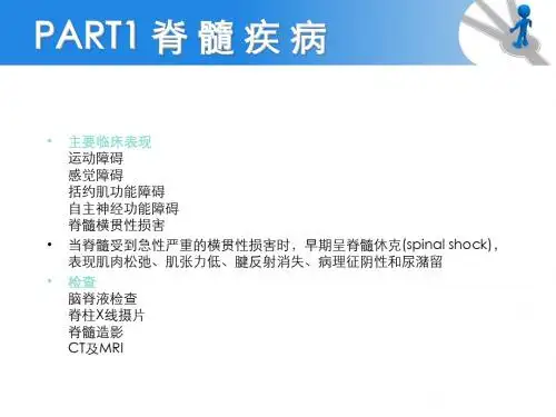 脊髓影像学诊断解剖表现ppt课件