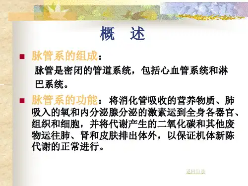 解剖学PPT循环系统(总论)