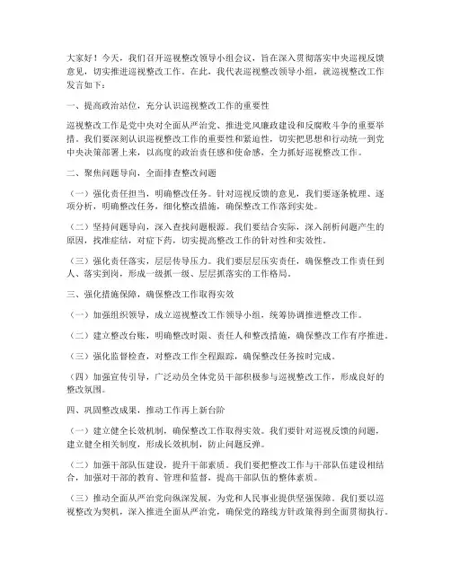 巡视整改领导小组会发言稿