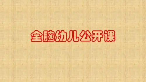 全脑幼儿公开课精编版